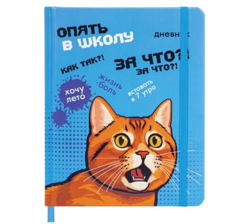 Дневник 1-11 класс 48 л., кожзам (твердая), печать, резинка, конверт, BRAUBERG, 