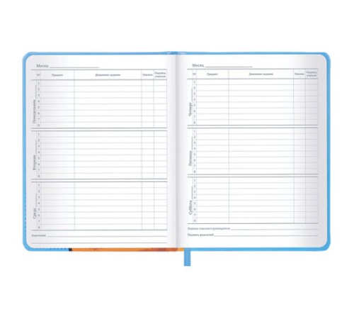 Дневник 1-11 класс 48 л., кожзам (твердая), печать, резинка, конверт, BRAUBERG, 