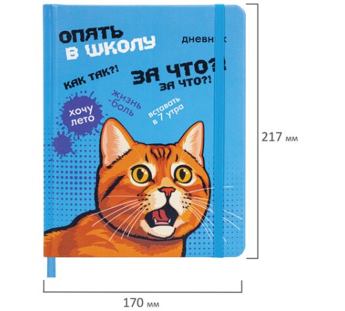 Дневник 1-11 класс 48 л., кожзам (твердая), печать, резинка, конверт, BRAUBERG, 