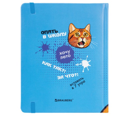 Дневник 1-11 класс 48 л., кожзам (твердая), печать, резинка, конверт, BRAUBERG, 