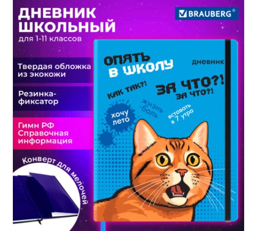 Дневник 1-11 класс 48 л., кожзам (твердая), печать, резинка, конверт, BRAUBERG, 