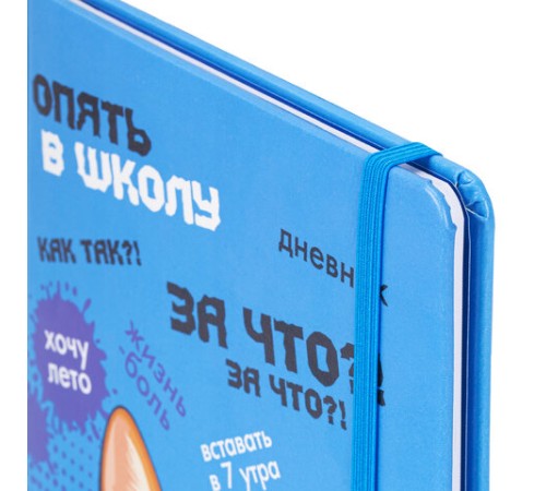 Дневник 1-11 класс 48 л., кожзам (твердая), печать, резинка, конверт, BRAUBERG, 