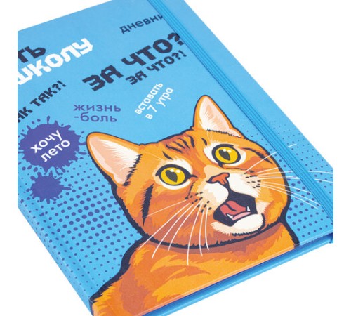 Дневник 1-11 класс 48 л., кожзам (твердая), печать, резинка, конверт, BRAUBERG, 