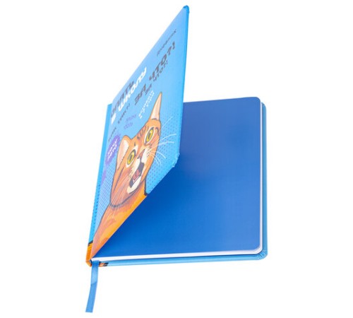 Дневник 1-11 класс 48 л., кожзам (твердая), печать, резинка, конверт, BRAUBERG, 