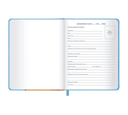 Дневник 1-11 класс 48 л., кожзам (твердая), печать, резинка, конверт, BRAUBERG, 