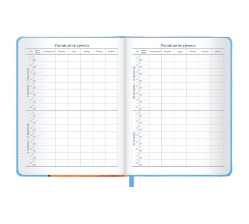 Дневник 1-11 класс 48 л., кожзам (твердая), печать, резинка, конверт, BRAUBERG, 