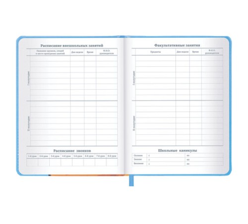 Дневник 1-11 класс 48 л., кожзам (твердая), печать, резинка, конверт, BRAUBERG, 