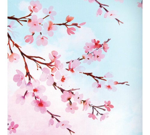 Тетрадь на кольцах А5 (180х220 мм), 80 листов, под кожу, клетка, BRAUBERG VISTA, Inspiration, 112124