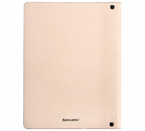 Тетрадь на кольцах А5 (180х220 мм), 80 листов, под кожу, клетка, BRAUBERG VISTA, Shed your skin, 112133