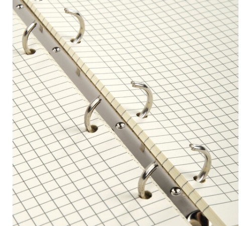 Тетрадь на кольцах А5 (180х220 мм), 80 листов, под кожу, клетка, BRAUBERG VISTA, 