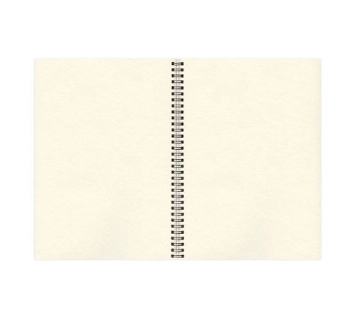 Скетчбук, слоновая кость 150 г/м2, 297х420 мм, 30 л., гребень, BRAUBERG ART CLASSIC, 128946