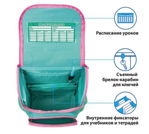 Ранец ПИФАГОР BASIC, с эргономичной спинкой, 