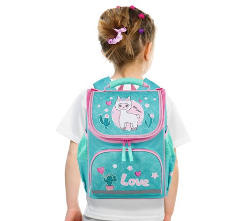 Ранец ПИФАГОР BASIC, с эргономичной спинкой, 