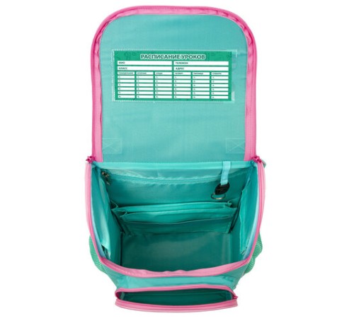 Ранец ПИФАГОР BASIC, с эргономичной спинкой, 