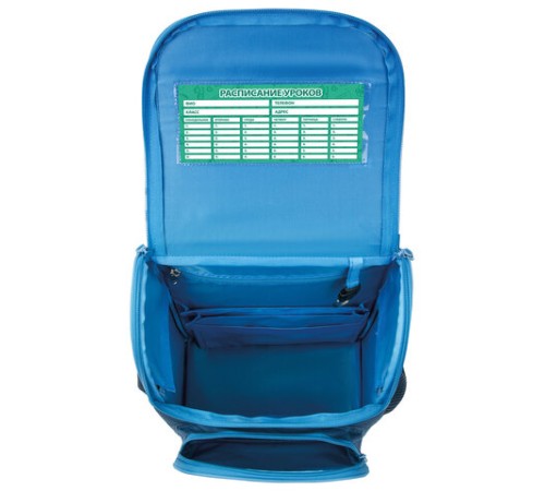 Ранец ПИФАГОР BASIC, с эргономичной спинкой, 