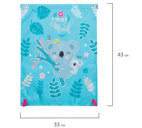 Мешок для обуви BRAUBERG PREMIUM, карман, подкладка, светоотражающие элементы, 43х33 см, Koala, 270282