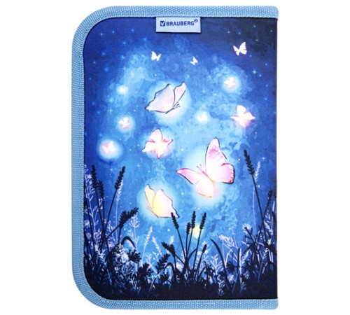 Пенал BRAUBERG с наполнением, 1 отделение, 1 откидная планка, 24 предмета, 21х14 см, 