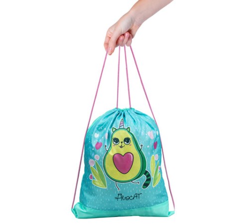 Мешок для обуви ПИФАГОР, 1 отделение, полиэстер, 42х34 см, 