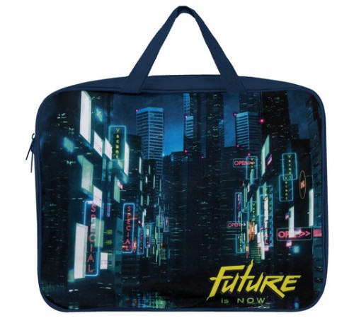 Папка на молнии с ручками BRAUBERG А4, 1 отделение, полиэстер, 80 мм, 