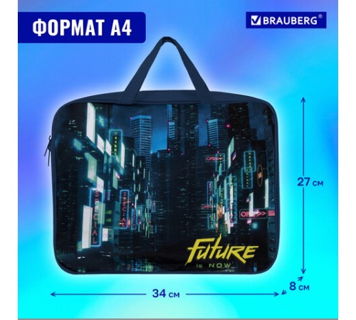 Папка на молнии с ручками BRAUBERG А4, 1 отделение, полиэстер, 80 мм, 