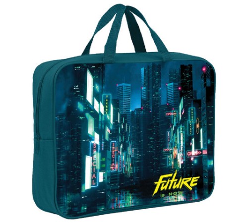 Папка на молнии с ручками BRAUBERG А4, 1 отделение, полиэстер, 80 мм, 