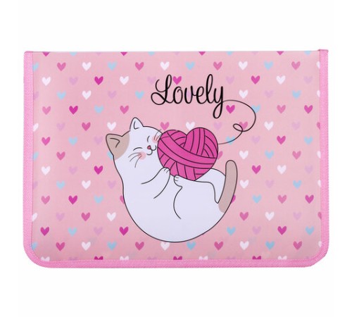 Папка для труда на молнии ЮНЛАНДИЯ А4, 1 отделение, откидная планка, органайзер, 