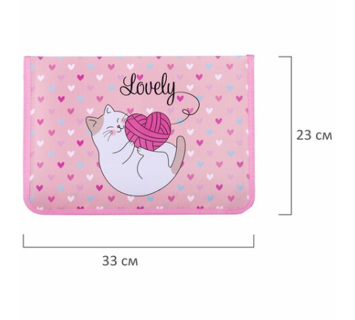 Папка для труда на молнии ЮНЛАНДИЯ А4, 1 отделение, откидная планка, органайзер, 