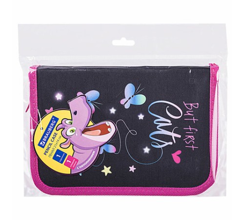 Пенал BRAUBERG с наполнением, 1 отделение, 1 откидная планка, 24 предмета, 21х14 см, 