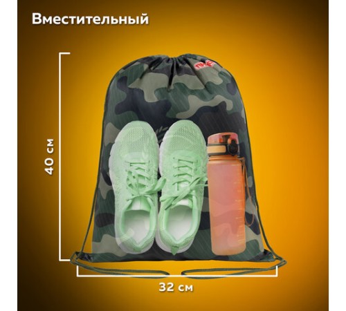 Мешок для обуви ПИФАГОР, 1 отделение, 40х32 см, 