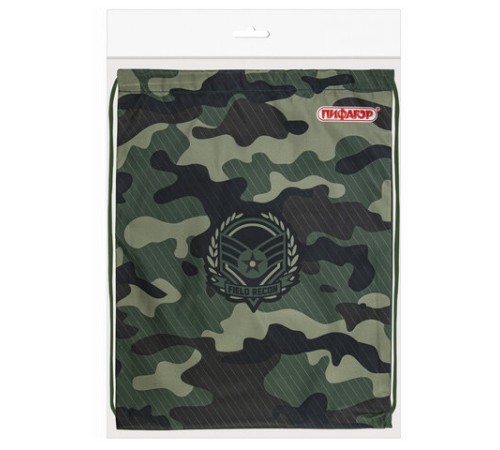 Мешок для обуви ПИФАГОР, 1 отделение, 40х32 см, 