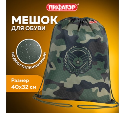 Мешок для обуви ПИФАГОР, 1 отделение, 40х32 см, 