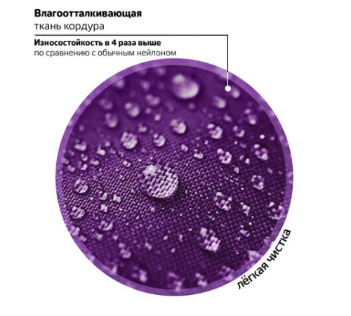 Ранец BRAUBERG KIDS STANDARD, 2 отделения, 