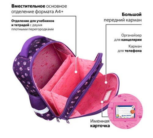 Ранец BRAUBERG KIDS STANDARD, 2 отделения, 