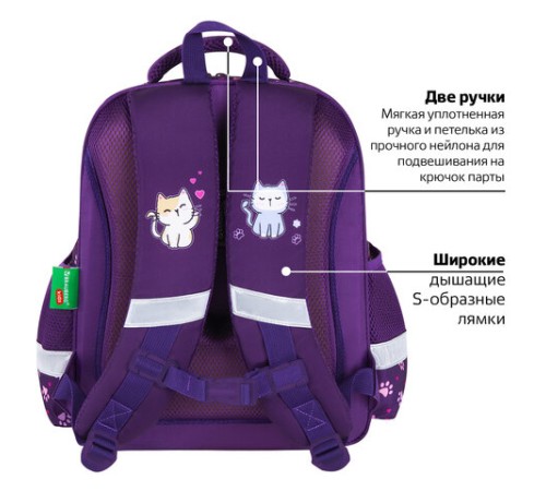 Ранец BRAUBERG KIDS STANDARD, 2 отделения, 