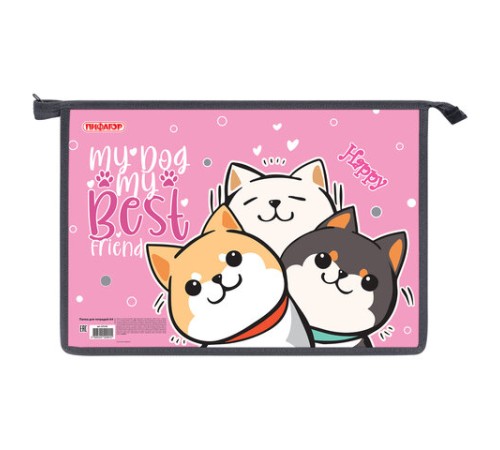 Папка для тетрадей ПИФАГОР А4, 1 отделение, картон/пластик, на молнии, 