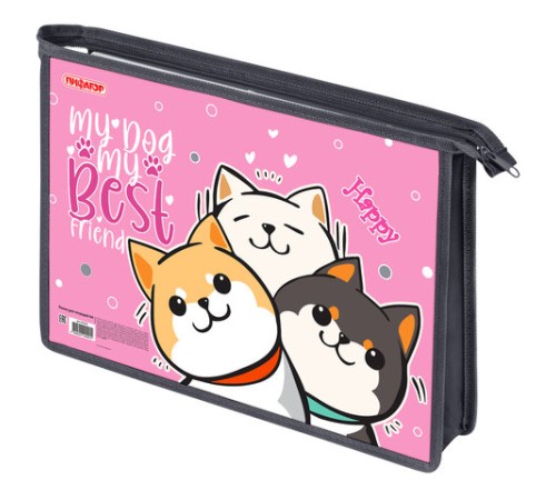 Папка для тетрадей ПИФАГОР А4, 1 отделение, картон/пластик, на молнии, 