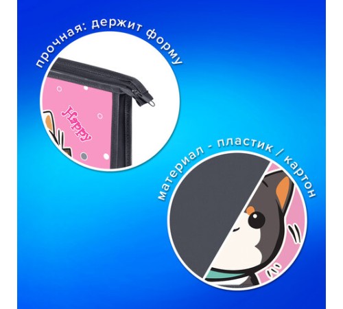 Папка для тетрадей ПИФАГОР А4, 1 отделение, картон/пластик, на молнии, 