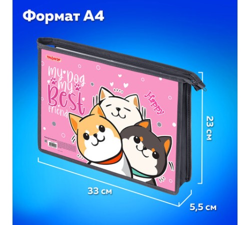 Папка для тетрадей ПИФАГОР А4, 1 отделение, картон/пластик, на молнии, 