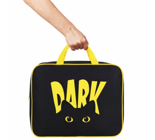 Папка на молнии с ручками BRAUBERG А4, 1 отделение, полиэстер, 80 мм, 