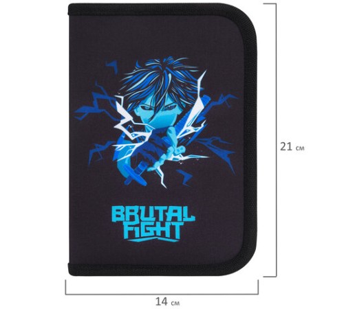 Пенал BRAUBERG с наполнением, 1 отделение, 1 откидная планка, 24 предмета, 21х14 см, 