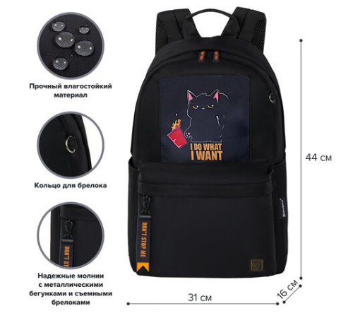 Рюкзак BRAUBERG FASHION CITY универсальный, карман-антивор, Cat, черный, 44х31х16 см, 272569