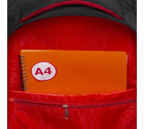 Рюкзак GRIZZLY школьный, анатомическая спинка, 2 отделения, для мальчиков, UNITY, 43х31х20 см, RU-331-1/1