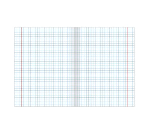 Тетрадь 24 л. BRAUBERG, клетка, обложка картон, СРЕДИ ЦВЕТОВ, 403006