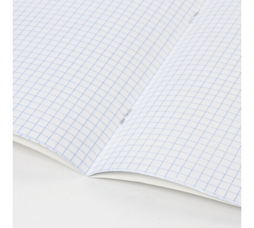 Тетрадь 24 л. BRAUBERG, клетка, обложка картон, СРЕДИ ЦВЕТОВ, 403006