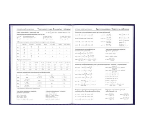 Дневник 5-11 класс 48 л., твердый, BRAUBERG, глянцевая ламинация, с подсказом, 