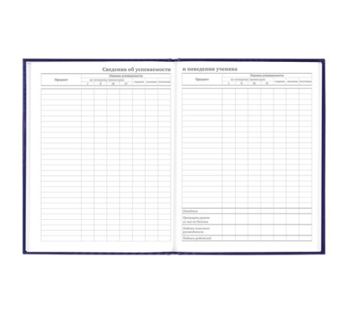 Дневник 5-11 класс 48 л., твердый, BRAUBERG, глянцевая ламинация, с подсказом, 