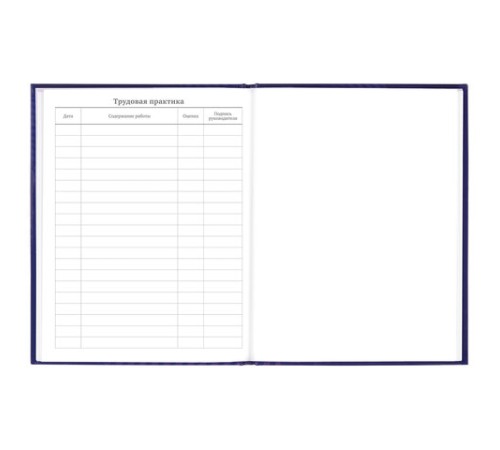 Дневник 5-11 класс 48 л., твердый, BRAUBERG, глянцевая ламинация, с подсказом, 