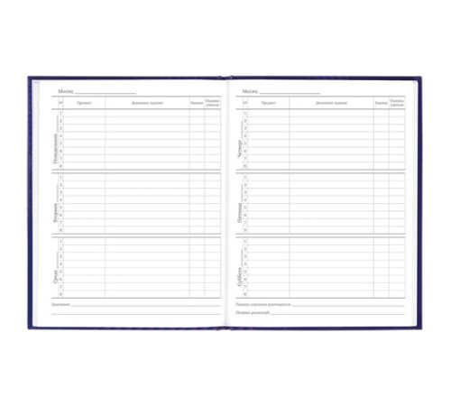 Дневник 5-11 класс 48 л., твердый, BRAUBERG, глянцевая ламинация, с подсказом, 