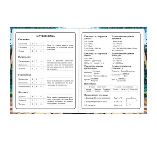 Дневник 1-4 класс 48 л., твердый, BRAUBERG, глянцевая ламинация, с подсказом, 