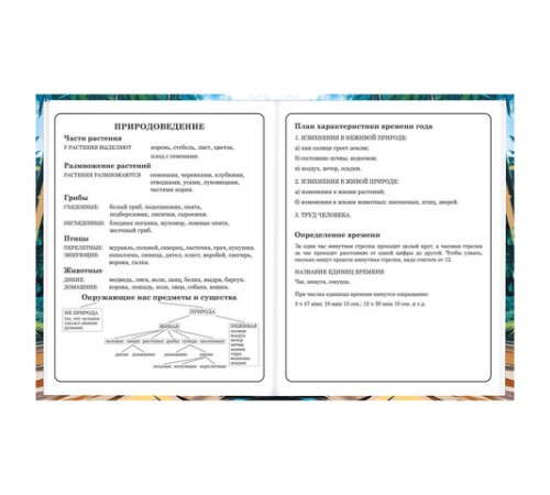 Дневник 1-4 класс 48 л., твердый, BRAUBERG, глянцевая ламинация, с подсказом, 